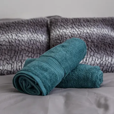 Bf La Casa De Pablo Bf